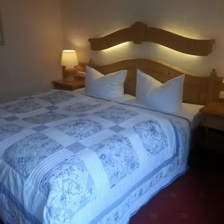 Hotel Und Restaurant Sackwitzer Muehle Bad Schmiedeberg Extérieur photo